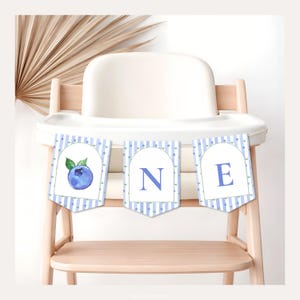 May include: A high chair with a banner that says "ONE". The banner has a blue and white striped pattern with a watercolor blueberry illustration and the letters "N" and "E".
