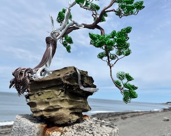 The wind's embrace