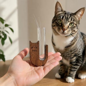 Pode incluir: Um vaso de madeira em forma de gato com um tubo de vidro, contendo alguns fios de grama seca. O vaso é gravado com o nome "Bella". Um gato malhado com olhos verdes está ao fundo.