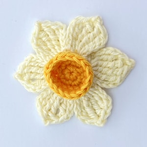 May include: A crocheted daffodil flower with six petals in cream and a yellow centre.