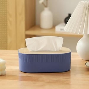 Dekorativt näsduksasköverdrag, modern ansiktsnäsduksaskhållare, minimalistisk nordisk oval servettask för badrum, kontor, vardagsrumsdekorationer