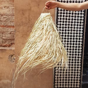 May include: A woven straw pendant light fitting with a conical shape. The light has a handle at the top. The background includes a brick wall and a patterned tile door. The light's dimensions are in centimetres.