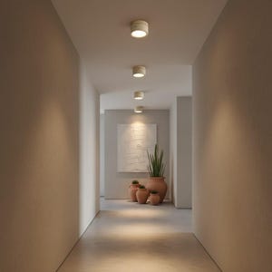 Könnte beinhalten: Ein moderner Flur mit Einbau-Deckenleuchten. Die neutral gehaltenen Wände und der Boden führen zu einem dekorativen Gemälde und Terrakotta-Töpfen mit Pflanzen. Die Lichter sind gleichmäßig an der Decke verteilt.