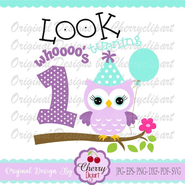 Birthday owl svg png, Look whoooo's turning 1, My 1st Birthday svg Silhouette & Cricut Cut Files BIR112