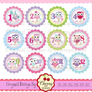 Cute Owls Baby 1-12 Months Circles Set Personal and Commercial Use -for paper crafts,card making,scrapbooking,and web design