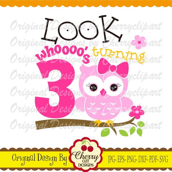 Look whoooo's turning 3, My 3rd Birthday owl SVG, Birthday Silhouette & Cricut Cut Files, Clip art, T-shirt iron on, Tranfer printing  BIR66