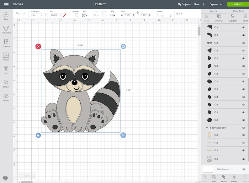 Download SVG DXF Raccoon Baby Raccoon SVG Jungle Animal svg | Etsy