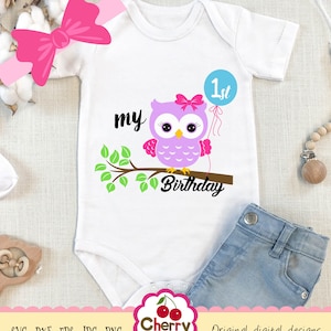 Birthday owl with balloon svg, My 1st Birthday Silhouette & Cricut Cut Files,Owl clip art  BIR08