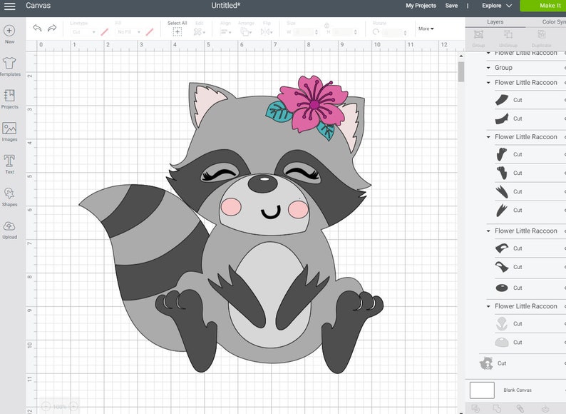 Download Raccoon Baby Raccoon with flower svg Jungle Animal svg | Etsy
