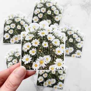 Daisy Cottagecore Vinyl Sticker, Glossy Decal for Laptops, Phones, Water Bottles, Walls and more. Floral Waterproof Sticker.