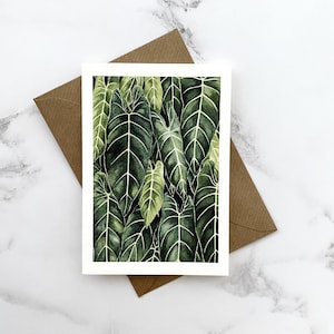 Carte de voeux feuille de philodendron, peinture de la jungle botanique, joyeux anniversaire, carte de remerciement, carte de voeux A6 pour les amateurs de plantes.
