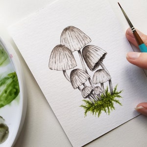 Aquarelle originale de champignons, petits champignons dessin et illustration format carte postale A6