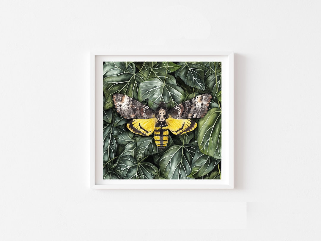 Square Death's Head Hawk Moth Art Print, Botanical Leaf Watercolour ...