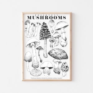 Mushroom Art Print Ink Drawing, Poisonous UK Fungi, Botanical Toadstool Illustrations Fine Art Print, A4, A5, A6, 4 x 6 Inches 5 x 7 Inches