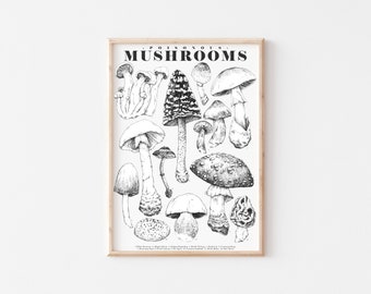 Mushroom Art Print Ink Drawing, Poisonous UK Fungi, Botanical Toadstool Illustrations Fine Art Print, A4, A5, A6, 4 x 6 Inches 5 x 7 Inches