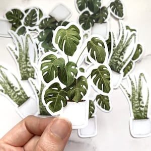 Zimmerpflanzen Aufkleber im Topf, große Vinyl-Aufkleber Monstera Deliciosa, Schlangenpflanze. Für Laptops, Handys, Wasserflaschen, Notebooks