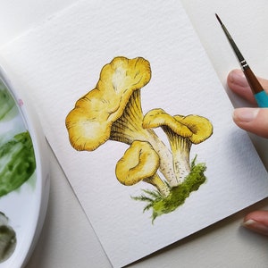 Peinture originale à l’aquarelle de champignons, illustration de champignons chanterelles, petite aquarelle en format de carte postale A6