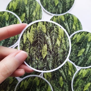 Botanischer Blatt Sticker, Wetterfester Kreis Sticker aus Vinyl, Philodendron Blätter Sticker, ideal für Wasserflaschen, Laptops, Telefone, Notizbücher.
