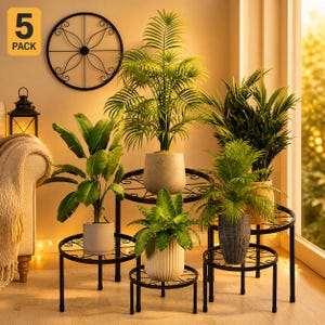 May include: A 5-pack of black metal plant stands featuring circular tops with decorative scrollwork patterns. The stands vary in height and are arranged to hold five potted green plants, including a tall palm and various leafy foliage.