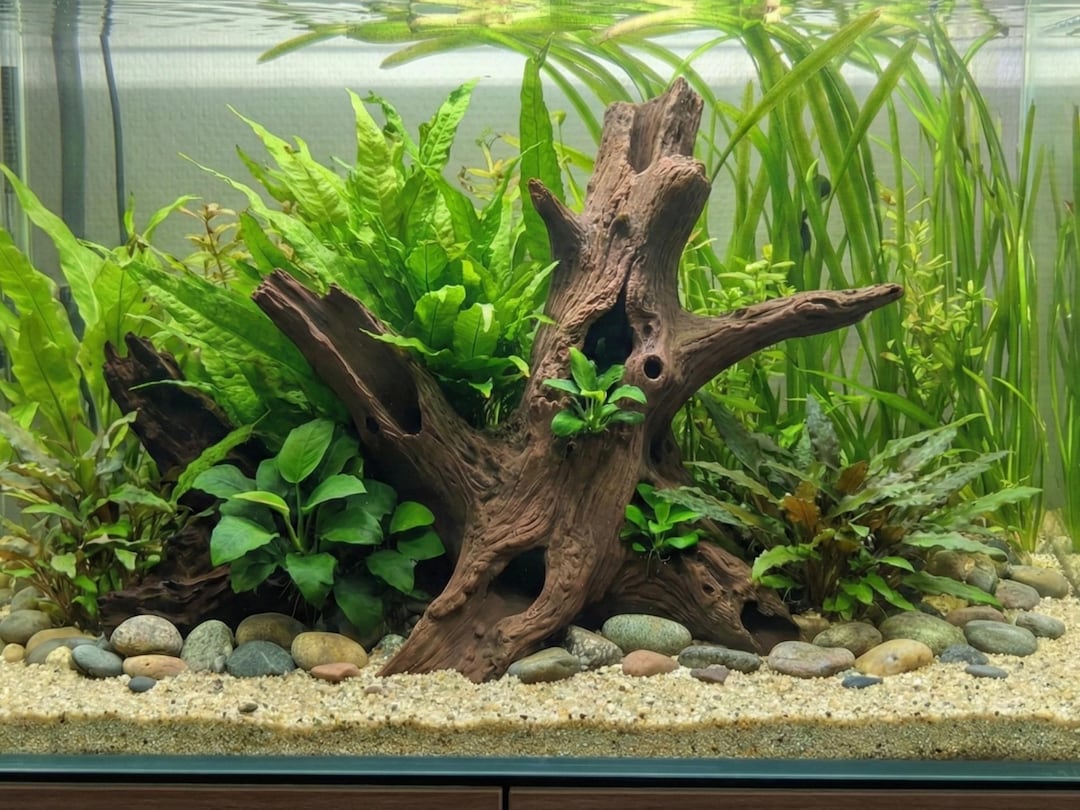 Aquarium Terrarium Driftwood Tree Stump Root - Etsy