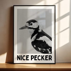May include: Black and white photograph of a woodpecker with the text "NICE PECKER" printed below the image.