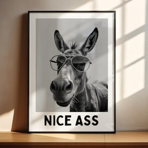 May include: Black and white framed print featuring a donkey wearing glasses. The donkey is centered in the frame, with the text "NICE ASS" displayed below the image. The print is displayed on a wooden surface.