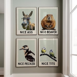 May include: Four framed prints with humorous animal images and text. The top left print features a donkey wearing sunglasses with the text "Nice Ass". The top right print features a beaver with the text "Nice Beaver". The bottom left print features a woodpecker with the text "Nice Pecker". The bottom right print features two bluebirds with the text "Nice Tits".