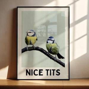 Impresión de tetas bonitas / Póster divertido para el baño / Imagen de pájaros groseros / Decoración de pub / Regalo atrevido para novia o esposa / San Valentín para ella / Arte para el baño
