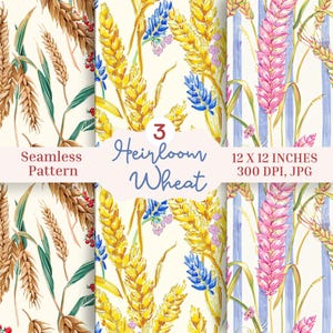 May include: A digital seamless pattern featuring wheat stalks in three variations: brown with red berries, yellow with blue flowers, and pink with blue stripes. The text reads 3 Heirloom Wheat, Seamless Pattern, 12 X 12 INCHES, 300 DPI, JPG.