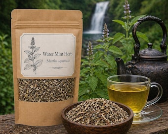 Wasser-Minze-Kraut - Mentha Aquatica - Wildcrafted Minze - Natürliche Kräuter