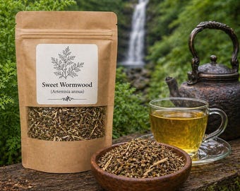 Süßer Wermut - Artemisia annua - Sweet Annie Tea - - Natürliche Kräuter