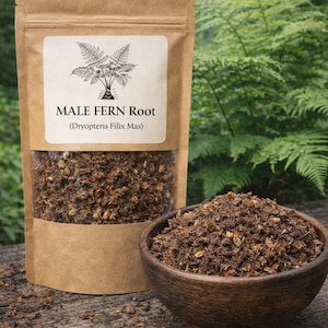 Könnte beinhalten: Ein brauner Papierbeutel mit getrockneter Wurmfarnwurzel (Dryopteris Filix Mas) und Sichtfenster, begleitet von einer dunklen Holzschale, die mit demselben braunen, strukturierten Wurzelmaterial gefüllt ist, auf einer verwitterten Holzoberfläche.