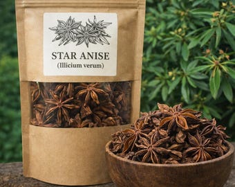 Star Anise - Anise Stars - Illicium verum -  Botanical - Natural Herbs
