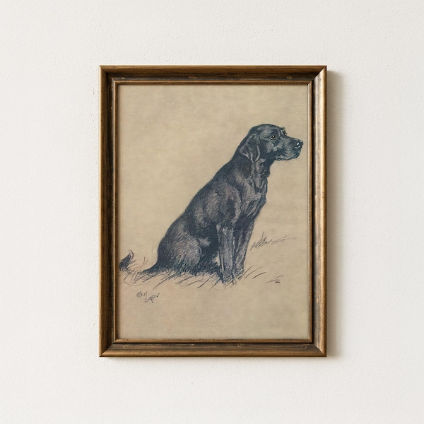 Vintage Black Labrador Portrait, Antique Dog Sketch Wall Art, Aged Paper Décor, Mailed Print