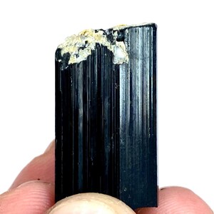 May include: A polished black tourmaline crystal with a striated surface. The top of the crystal has a rough, beige and white mineral deposit. The crystal is held against a white background.