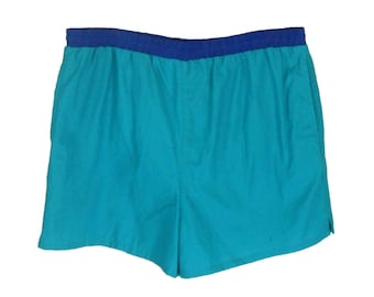 Vintage 90s Teal and Blue Swim Trunks - Mid-thigh Length (Men's Size XL)