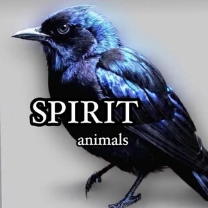 Könnte beinhalten: Set aus drei Keramikbechern mit gesprenkelter, matter Oberfläche. Die Becher sind in Creme-, Hellgrau- und Dunkelgrautönen gehalten. Jeder Becher hat ein schlichtes, minimalistisches Design, ideal für Kaffee oder Tee.