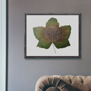 Leaf Circle, INSTANT DOWNLOAD*, Botanical Print, Geometrical, Green, Leaf Painting, Art Prints, Summer Art, Wall Art, Fall Art, Print