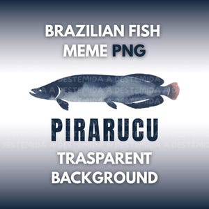 Può includere: Illustrazione ad acquerello di un pesce Pirarucu, un meme di pesce brasiliano, con sfondo trasparente. Il pesce è blu scuro con la coda rossa. Il testo in alto recita "BRAZILIAN FISH MEME PNG". La parola "PIRARUCU" è sotto.