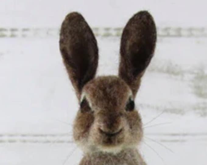 Romeo the Rabbit Needle Felting Kit FREE SHIPING Etsy