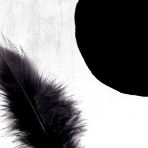 4oz. Raven Black Combed Corriedale wool Premium Top Roving for Needle or Wet Felting and Spinning FREE SHIPPING
