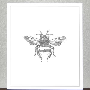 Bumble bee - Pencil Sketch - Print