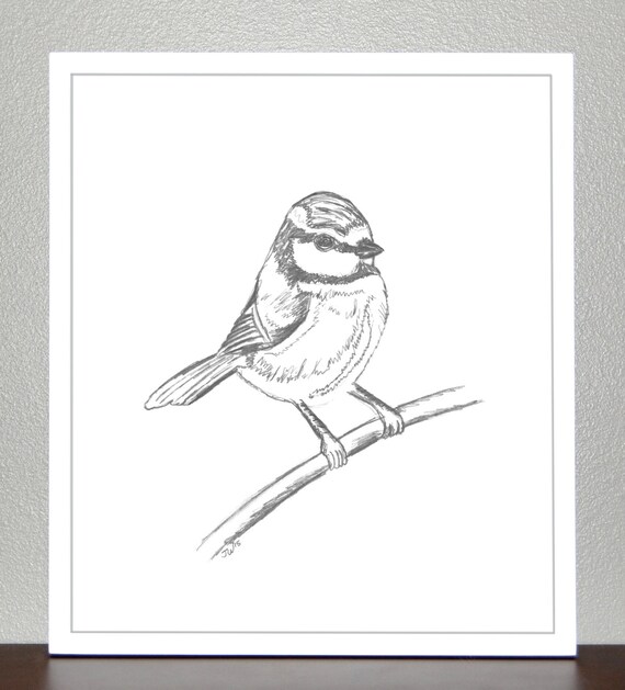 Bird Original Pencil Sketch Print