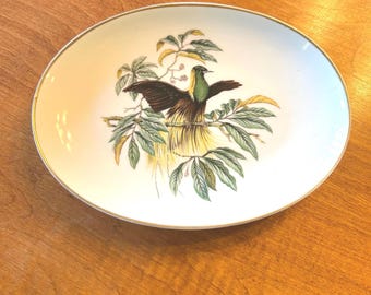 Mottahedeh design decorative oval dish from the "Emperor of Germany's Bird of Paradise" pattern, manufactured in Coimbra, Portugal.