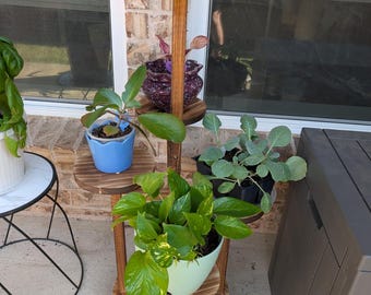 Soporte de madera de 5 niveles para exhibir plantas de interior.