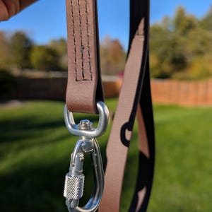 Waterproof BioThane Dog Leash - Sewn for Strength