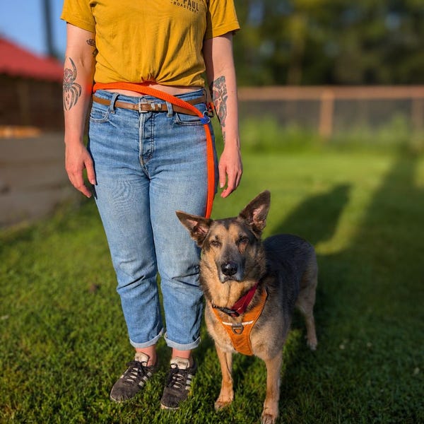 Tested Hands-Free Biothane Dog Leash | Waterproof, Adjustable Waist, Running, Hiking, Heavy-Duty Clips