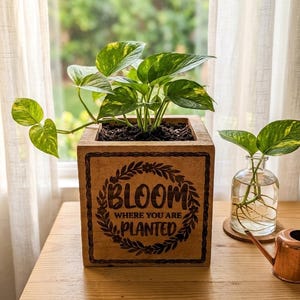 May include: A square wooden planter box with the words "BLOOM WHERE YOU ARE PLANTED" etched into the front. The planter holds a green and yellow pothos plant. A small glass vase with a plant cutting and a copper watering can are nearby.