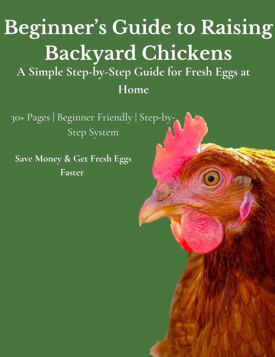 Beginner's Guide to Raising Backyard Chickens | Coop Planner, Egg Tips ...
