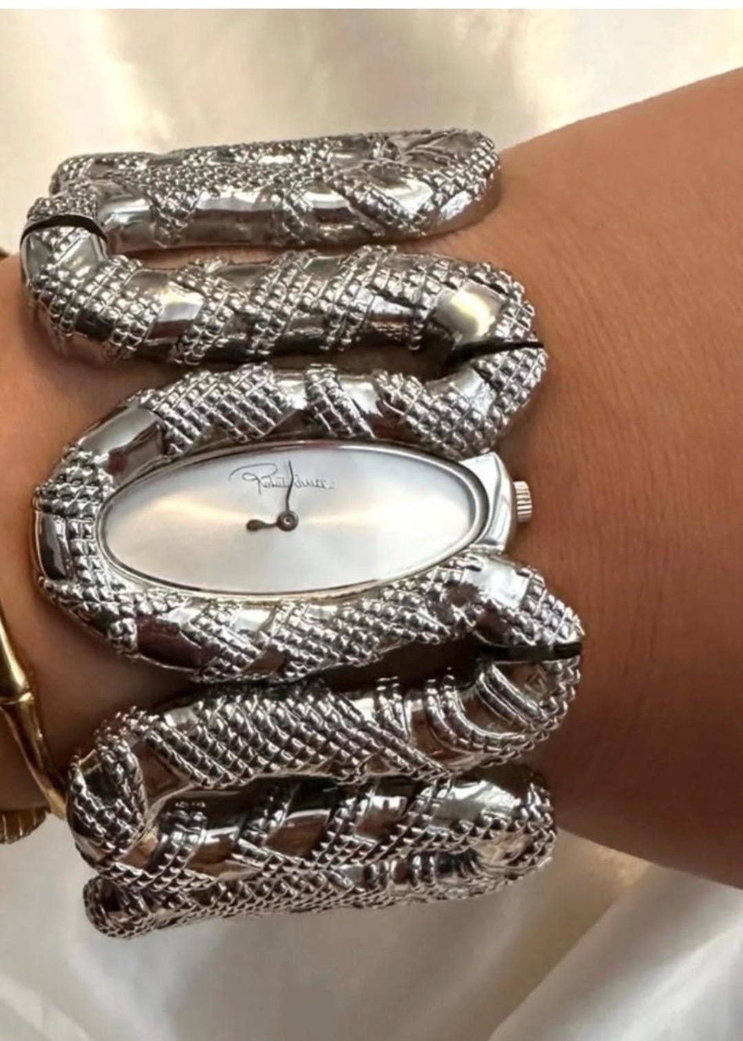 Roberto Cavalli R7253195515 Cleopatra Stainless Silver Tone Snake